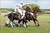 UKPA  NC Sat_1249